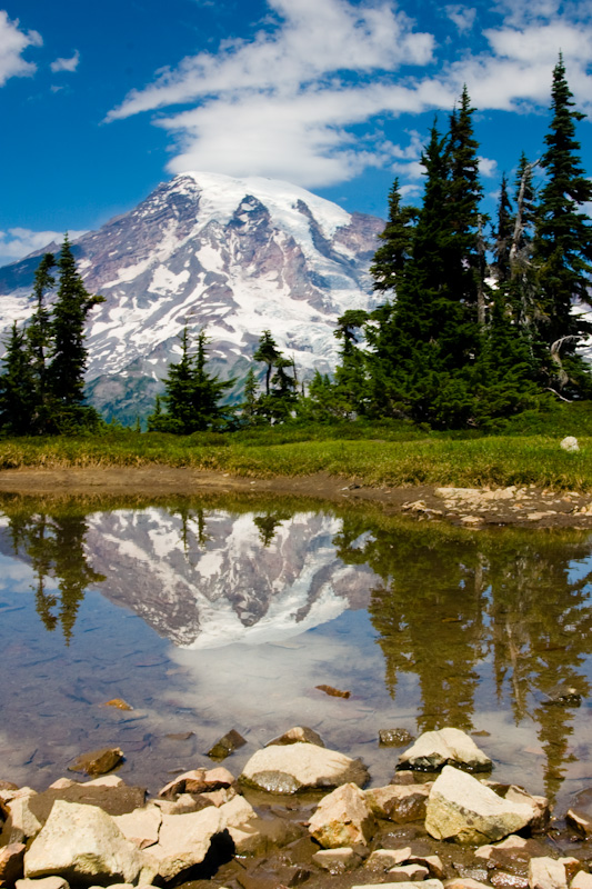 Mount Rainier Reflected In Tarn